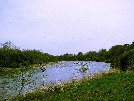 f0084561_14245599.jpg