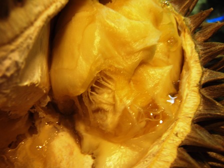 a0044162_21232249.jpg