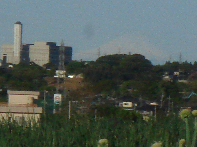 新緑_b0124462_8403536.jpg