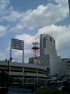 b0147363_324737.jpg