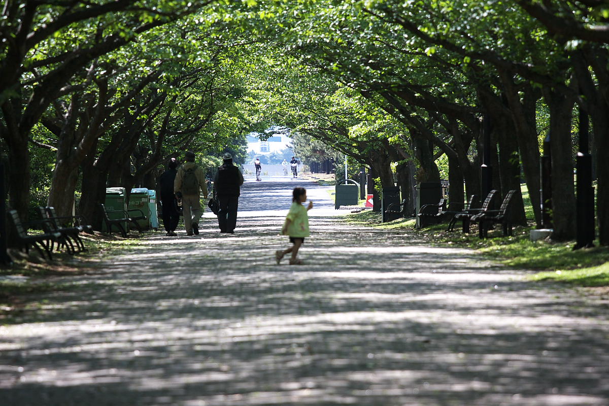 新緑の遊歩道_d0127164_22291314.jpg