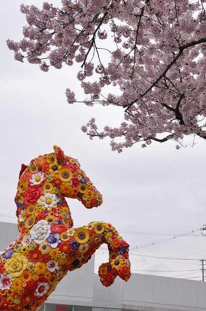 青森県の桜名所シリーズ2009 -No.1 十和田市 官庁街通り-_c0048667_213645100.jpg