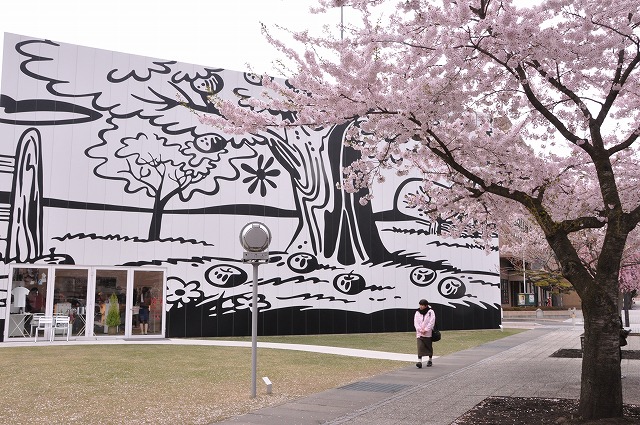 青森県の桜名所シリーズ2009 -No.1 十和田市 官庁街通り-_c0048667_2223245.jpg