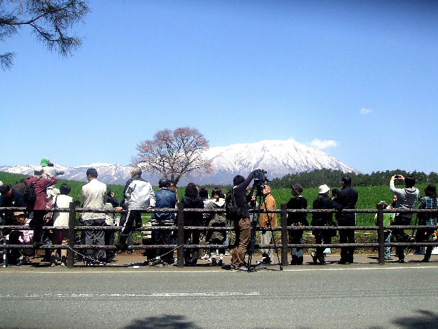 この渋滞は・・・一本桜へ！_b0067569_19422327.jpg