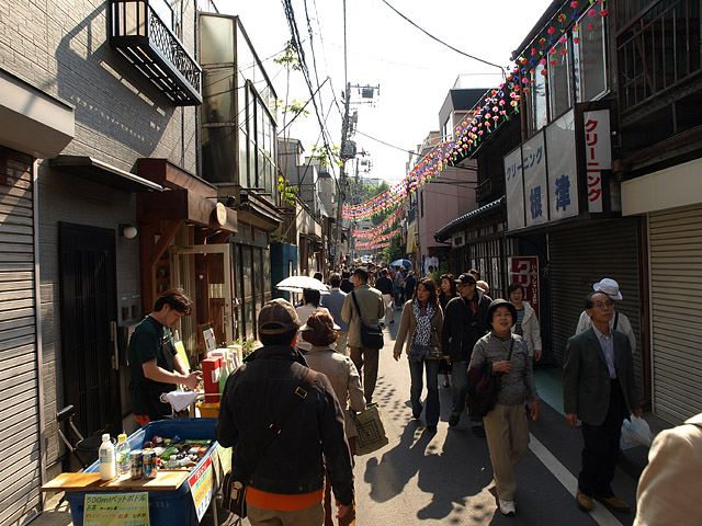 上野 ～ 根津神社 ２回目 つつじまつり開催中_b0006870_21122539.jpg