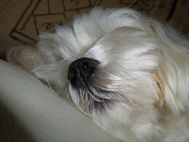 c0135690_16174532.jpg