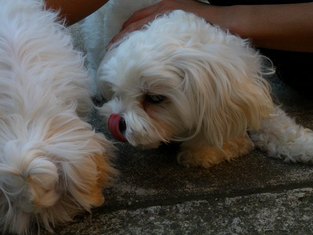 c0135690_1625292.jpg