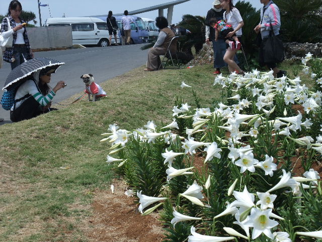 もずく　と　ぶなぴ　の　えんそく　②_a0118493_1837117.jpg