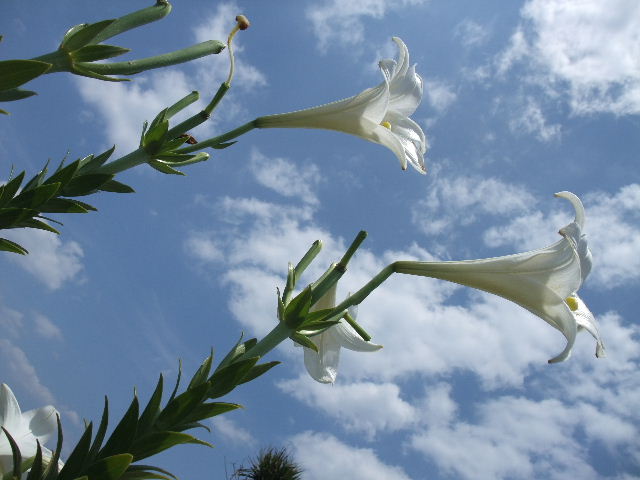a0118493_18461520.jpg
