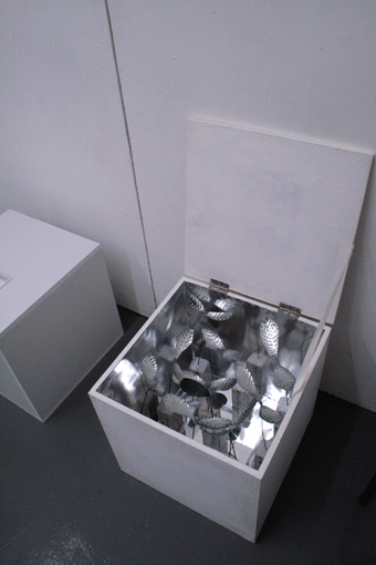 c0100195_1083274.gif