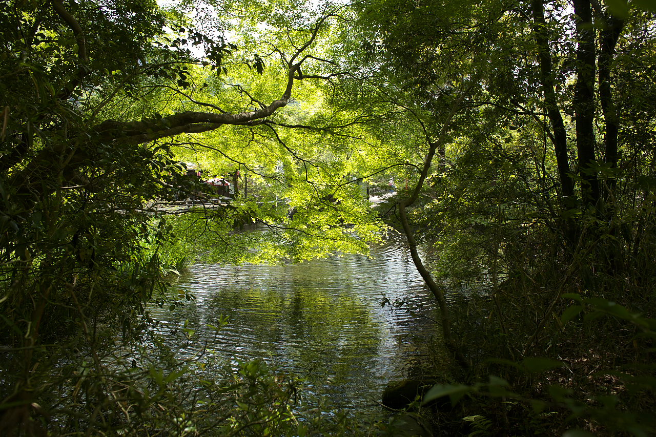 瑠璃光院 八瀬の薫り_e0017995_21492687.jpg