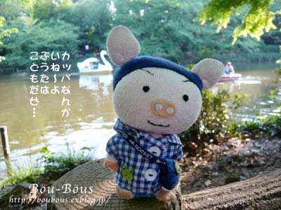 新緑の井の頭公園…_d0128697_093948.jpg