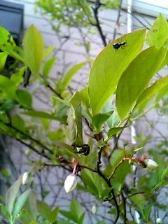 b0028598_17213055.jpg