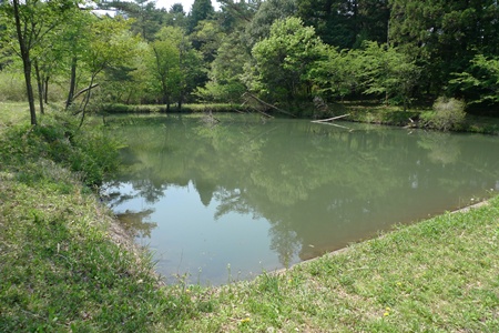 短時間ブラックバス戦！市貝町 秘境の野池！！！_c0171001_15134075.jpg