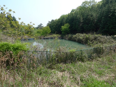 短時間ブラックバス戦!市貝町 秘境の野池!!!_c0171001_1532775.jpg