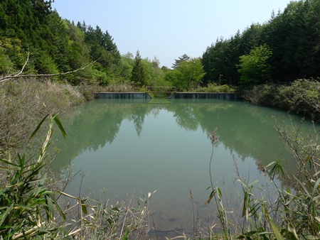 短時間ブラックバス戦 市貝町 秘境の野池 目指せ ブラックバス 40cmオーバー