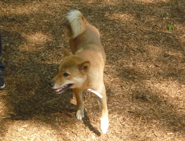 e0018604_12303150.jpg