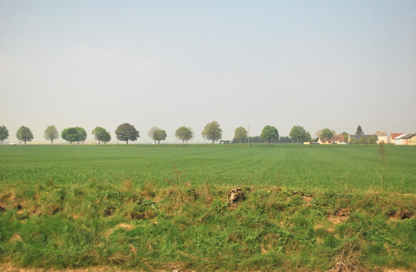 e0001406_10483660.jpg