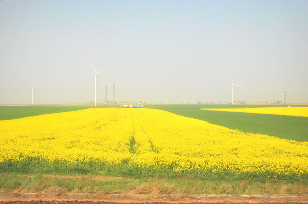 e0001406_10485469.jpg