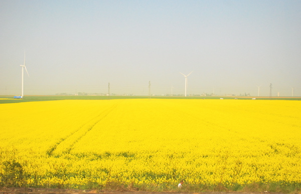 e0001406_1049766.jpg