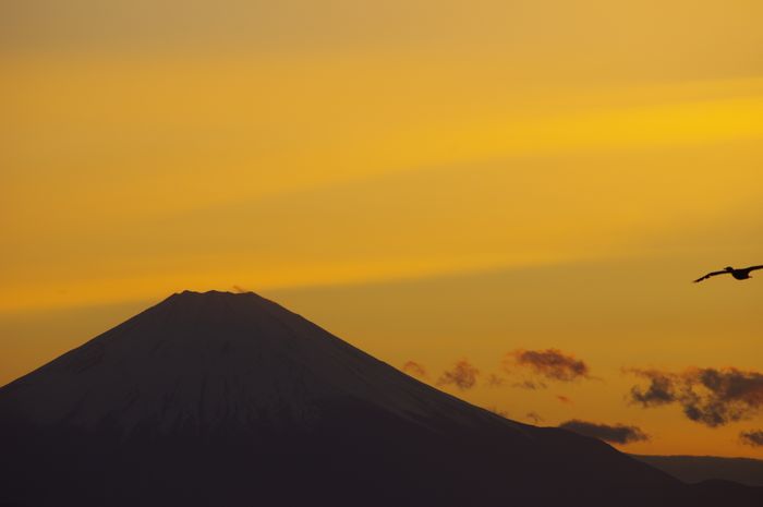 強風で荒れ狂う湘南の海と富士山の夕暮れ _b0151409_23363164.jpg