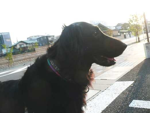c0097309_804736.jpg