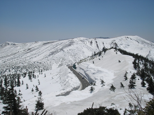 d0115409_23513.jpg