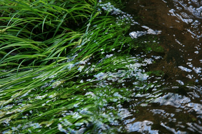 f0201711_2357459.jpg