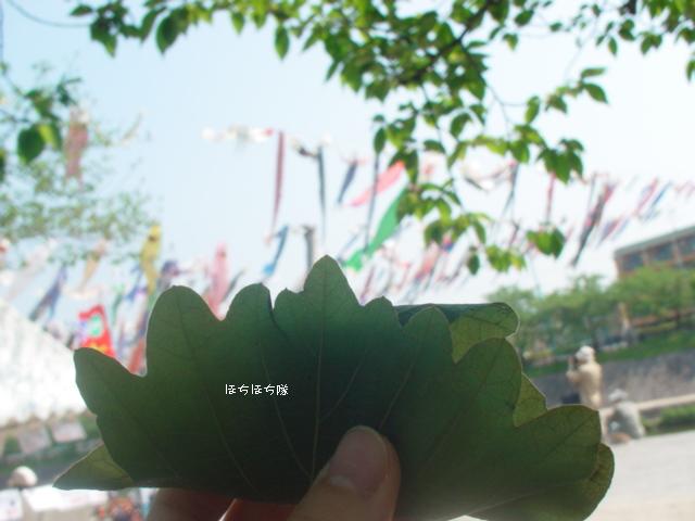 f0151213_9433768.jpg