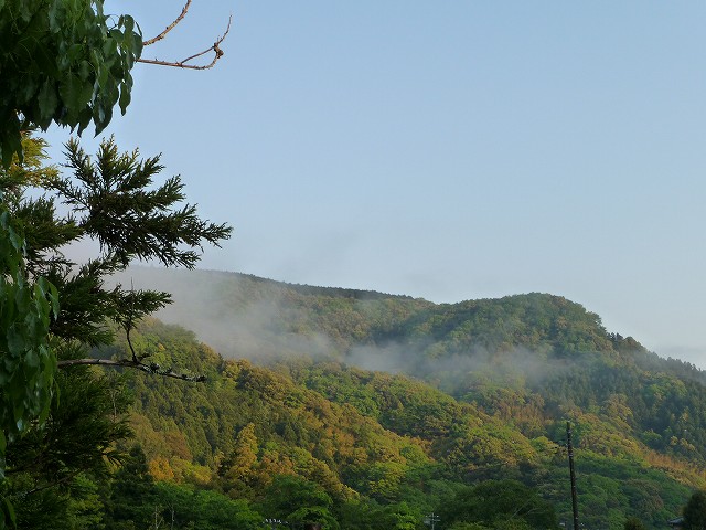 f0182513_835247.jpg