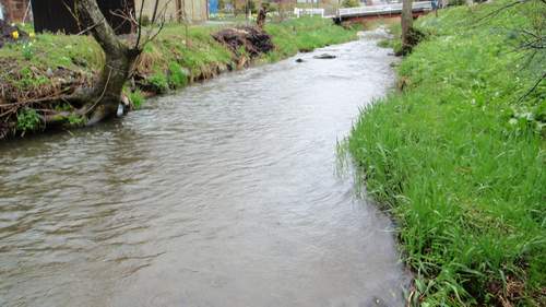 09’　04　26（日）の釣り　岩手県内陸にて_a0079614_10404080.jpg