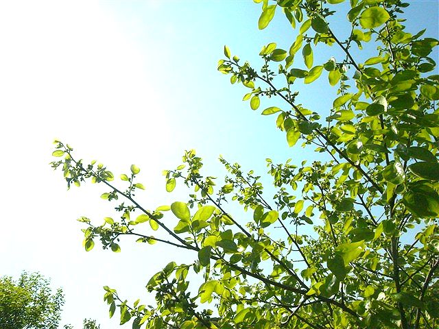 命萌ゆる春の別離_c0116714_132638.jpg
