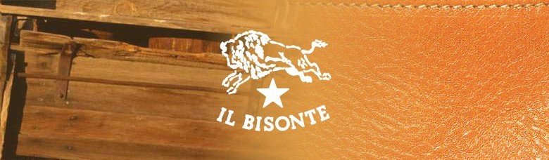 IL BISONTE  2_d0139514_15495842.jpg