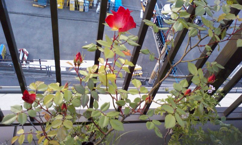 a0098418_18131584.jpg