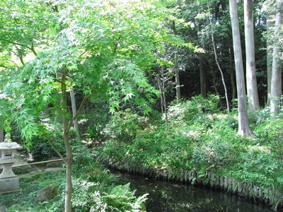 e0092221_14183265.jpg