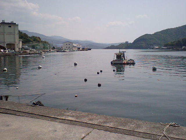 c0117028_1050612.jpg
