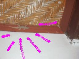 f0186531_32405.jpg