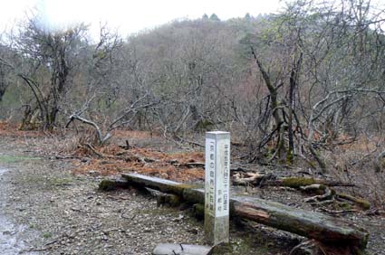 雨を歩く。鎌倉山　４月２６日　　_d0099936_14264120.jpg