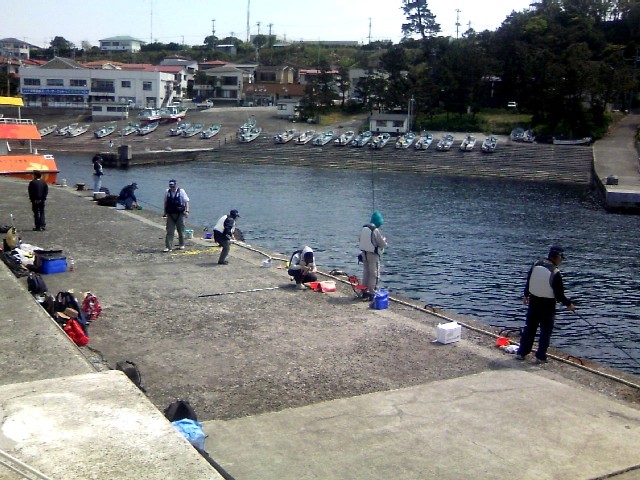 熱海の南国 初島堤防釣りツアーを開催しました 初心者のための釣り教室 釣りツアー