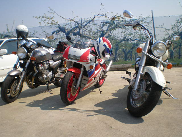 a0111637_225049100.jpg