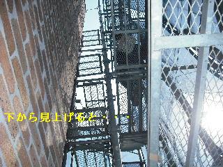 塗装工事最終日_f0031037_21401495.jpg