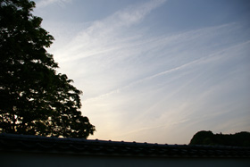 ＊ハルモニアがすき_a0030038_22143842.jpg