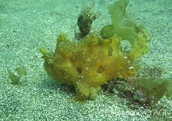 b0163039_1746736.jpg