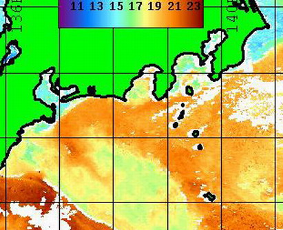 GW　　全国にキター！！関東からマカジキ？のヒットコールがキター！！　【カジキ マグロ トローリング】_f0009039_1452050.jpg