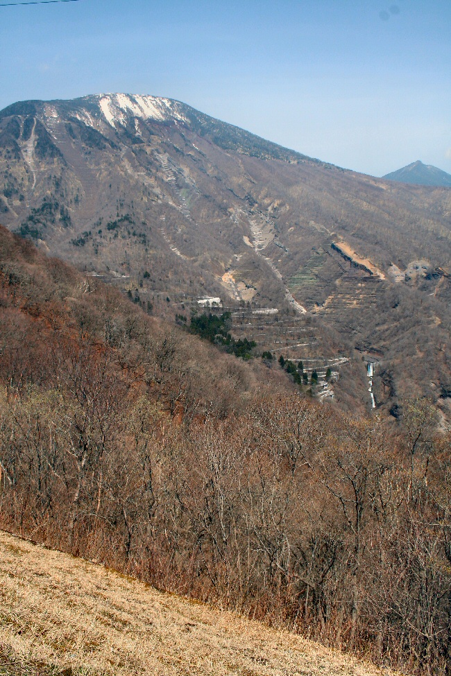 f0174244_845344.jpg