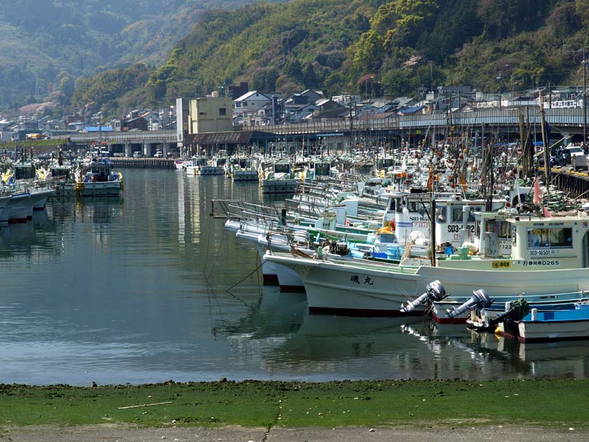 由比漁港　　-静岡県_d0149245_22454525.jpg