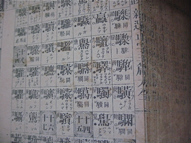 d0101846_631613.jpg