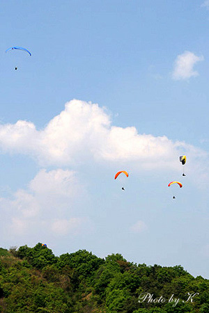 c0127748_14352.jpg