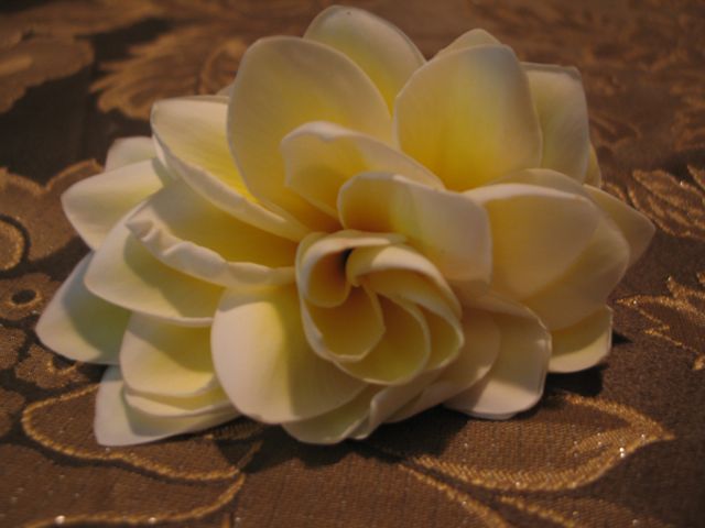 e0076349_23193063.jpg