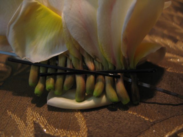 e0076349_23211242.jpg